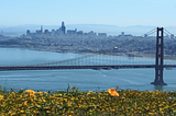 A Semester Amidst A Pandemic —Northeastern University San Francisco Program