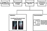 A Plausible AI Technique for Fracture Diagnosis: A Study