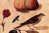 A watercolor of one brown nut with leaves attached to the stem, two different types of pears with a stem on one pear is yellow, wide toward the stem and round, the other pear is more red, narrow toward the stem and one leaf and rounder toward the bottom, a red flower, a black and yellow insect, a brown and grey bird, two purple plums attached to a stem with leaves.