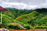 Vagamon - A surprise from “God’s own country” Kerala