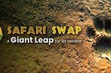 SafariSwap: A brief introduction