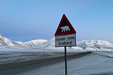 Skalar Goes to Svalbard — Skalar