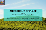 An Economy of Place 16: When Standardisation is the Enemy of Life