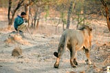 Gir National Park