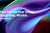 How VR Videos Work