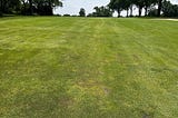 Summertime! 1st Heat Wave, Dollar Spot begins, Take-all Patch again?!? and Native Flowers