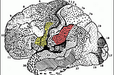 On a Theory of Mind in relation to our hominin ancestors