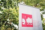 Announcing the 2024–25 CASBS Fellows