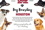Dog Boarding Houston