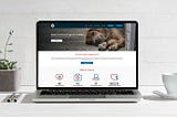 5 Elements of UX + Lean UX Case Study: Animal Lovers League Singapore (Part 2)