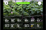 Beyond the Visual Spectrum: Early Detection of Plant Disease using Sensors