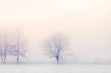 8 Steps to Help with Winter & Pandemic Blues