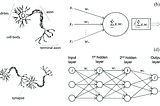 A high Artificial Neural Network: modelling the brain’s exposure to psychedelics