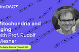 Mitochondria and Aging with Prof. Rudolf Wiesner — VitaDAO Aging Science Podcast