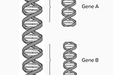Rapid Read: CRISPR — Genes and Genetic Materials