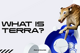 What Is Terra?