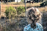 The back of a little girl’s head, who is looking at two horses off in the distance. Perspective is behind girl.