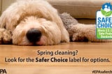 Safer Choice Label Helps Consumers Protect Families