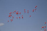 Orange parachutes rain down from a blue sky
