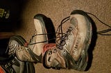 Dry Wading Boots