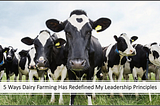 5 Ways Dairy Farming Redefined My Leadership Principles