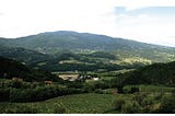 A landscape photo of a Tuscan valley with fields, cypress trees, and vineyards.