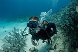 Top 5 reasons why you should consider moving to Sint Maarten as a US National