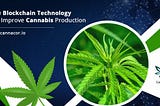 CannaCor: a blockchain solution for the medicinal cannabis industry