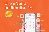 10 Ways You Can Put Your eNaira to Use on Remita