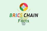 Some key points about BRICSChain.