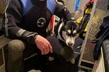 Rescue Team Saves Husky from Drowning