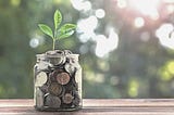Jar of coins with a plant growing — depicting innovative and impactful financing models for a more sustainable future.