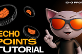 Echo Points Tutorial: Supercharge Your BTC with Strategies, Titles, and Rewards