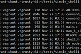 What happens when you type ls -l in the shell?