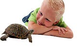 Reptiles as children’s pets