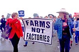 Willie Nelson: On Thanksgiving, Remember Family Farmers…