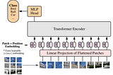 Transformer for All Data Types