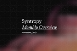 Syntropy in November: Nominator Staking, AMA with William B.