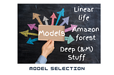Model Selection Fatigue — What to choose?