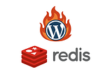 I Made My WordPress Site 10× Faster— Here’s the Exact Setup