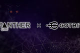 Gotbit joins Panther Quant as the Strategic Partner !