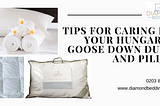 Tips for Caring for Your Hungarian Goose Down Duvet and Pillow