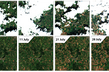Multiple Satellites, One Optical Image