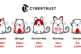 CyberTrust to Release the First “Collateralized Cat Offering”