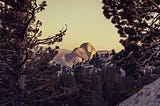 Half Dome in Yosemite, CA, taken far away with trees and a stone walkway as the foreground