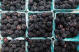 Blackberry Season