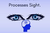 Encyclopedia of Decoding Vision. How the Brain Processes Sight.