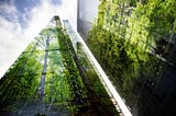 AI and Climate in the Fintech Industry