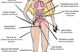 Female Anatomy, According to Dead White Men