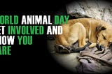 Celebrate World Animal Day